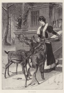 Out-Patients by Samuel Edmund Waller